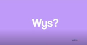 WYS Meaning in Text
