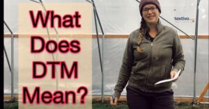 What Does DTM Mean In Text